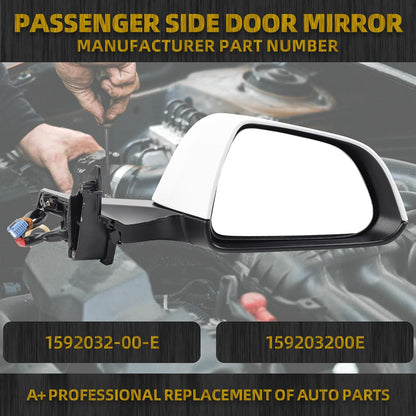 Passenger Side View Mirror Assembly 